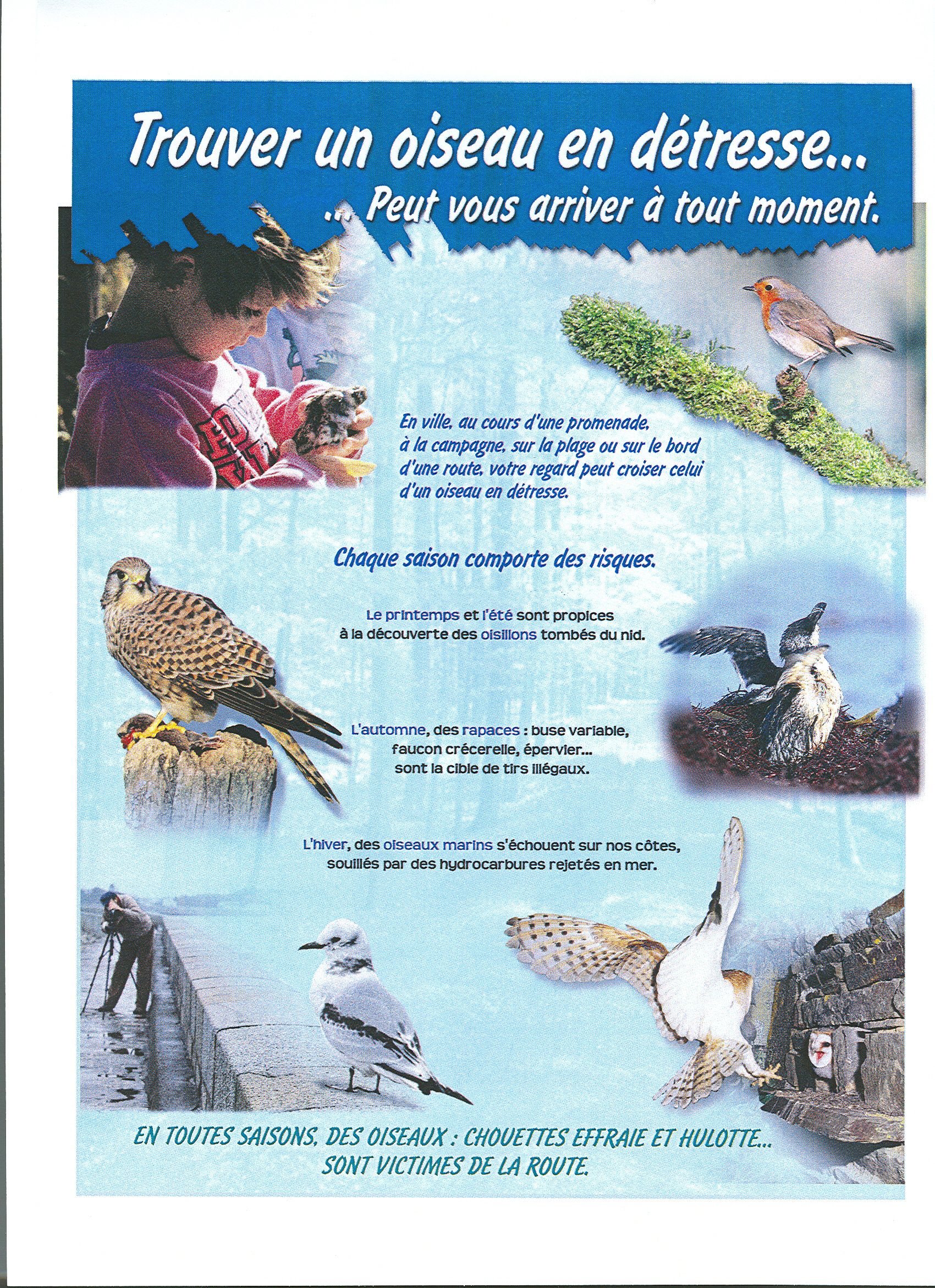 Les oiseaux en soins